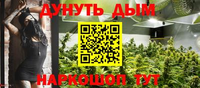шишки Гусев