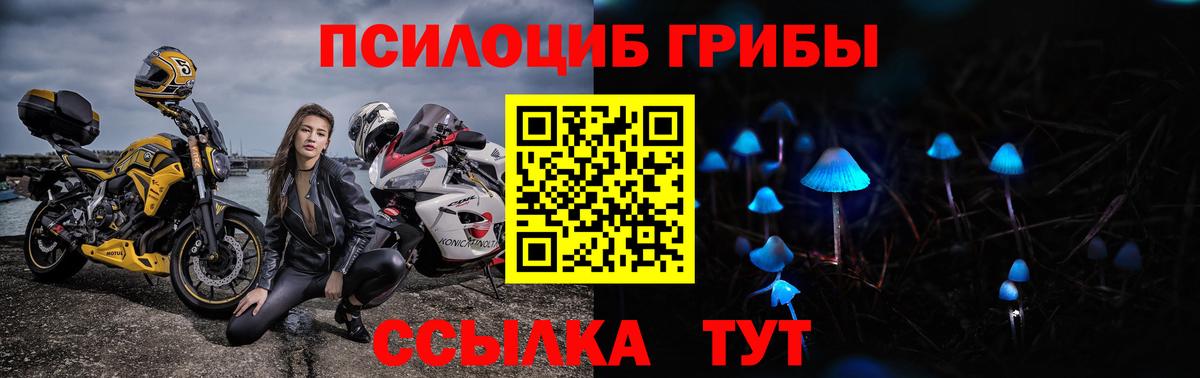 Галлюциногенные грибы Cubensis  Вход с VPN  Псилоцибиновые грибы MAGIC MUSHROOMS  Мелеуз 